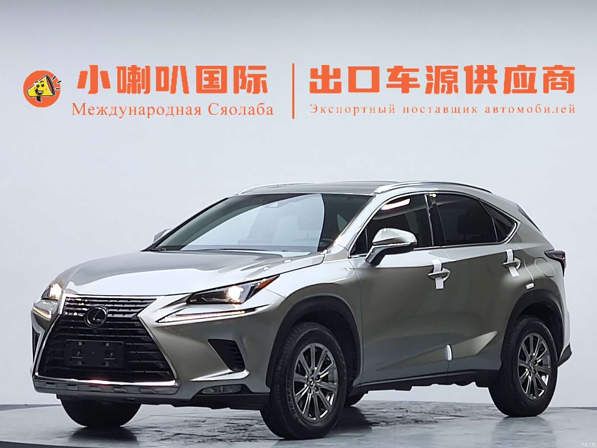 Lexus NX, 2021 1