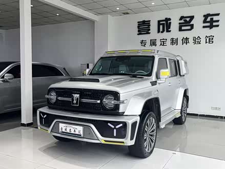 ȫֹ̹300 2021 2.0T ̹