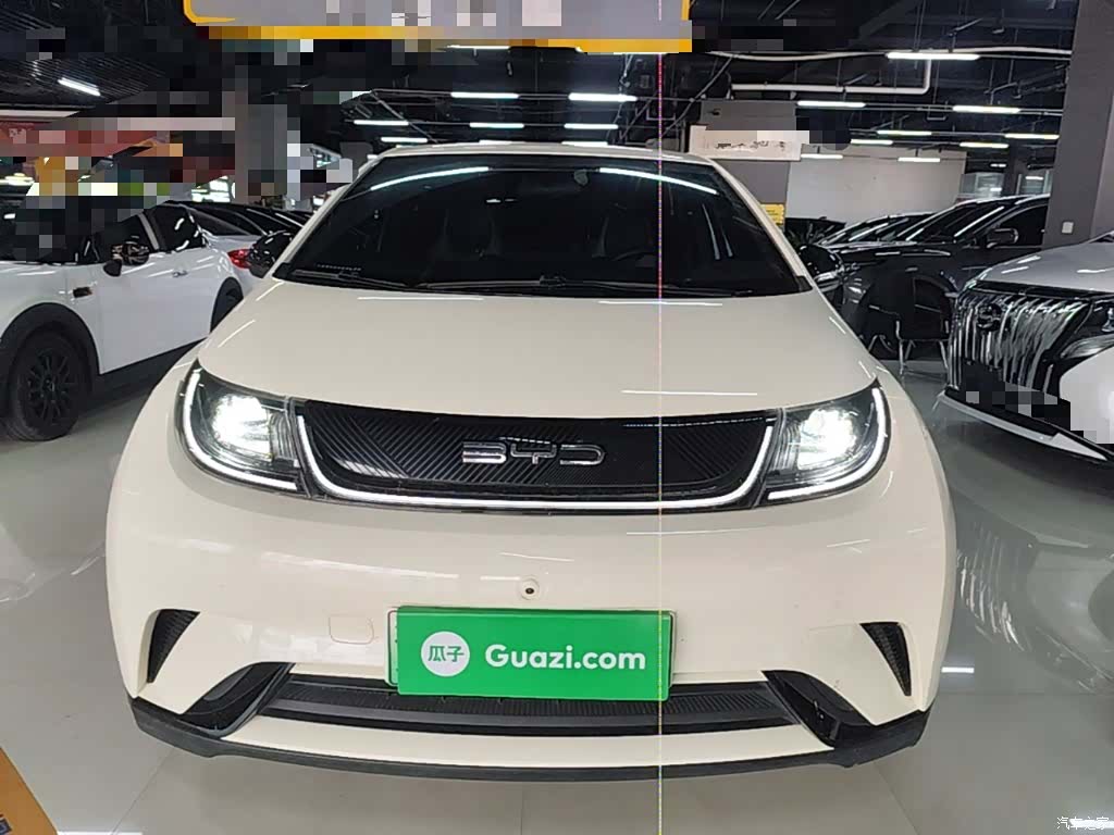 BYD Dolphin, 2022 3