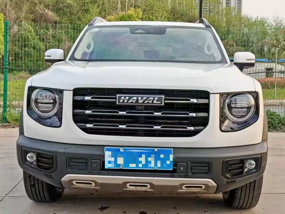 Haval Big dog