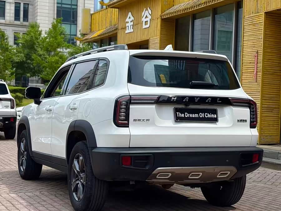 Haval Haval Dago 2023, фото 7