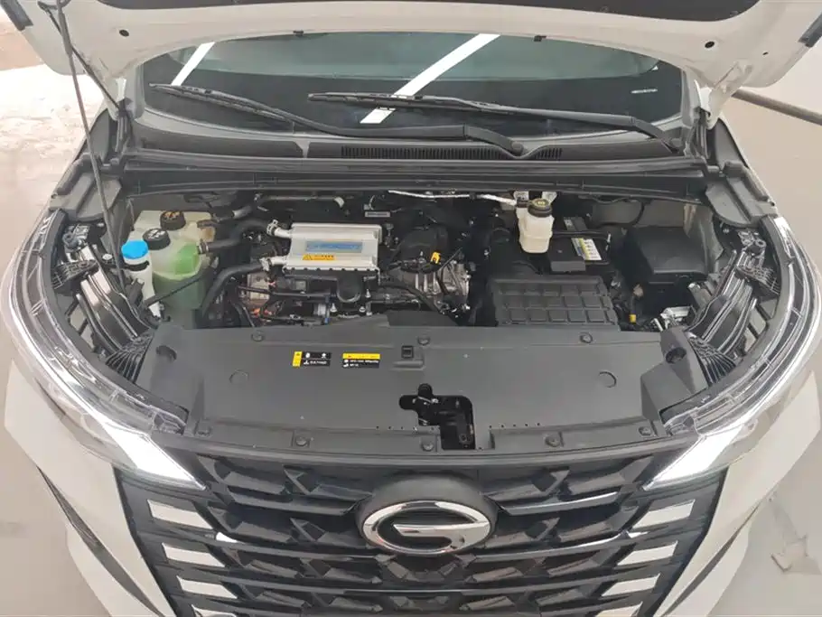 Trumpchi Trumpchi M6