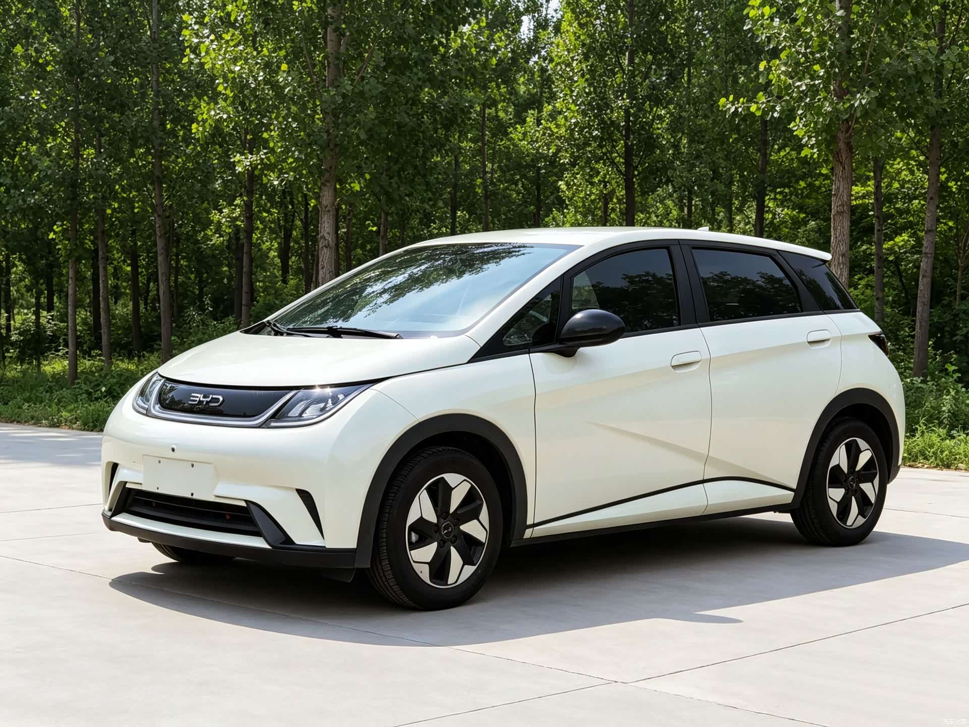 BYD Dolphin, 2025 1