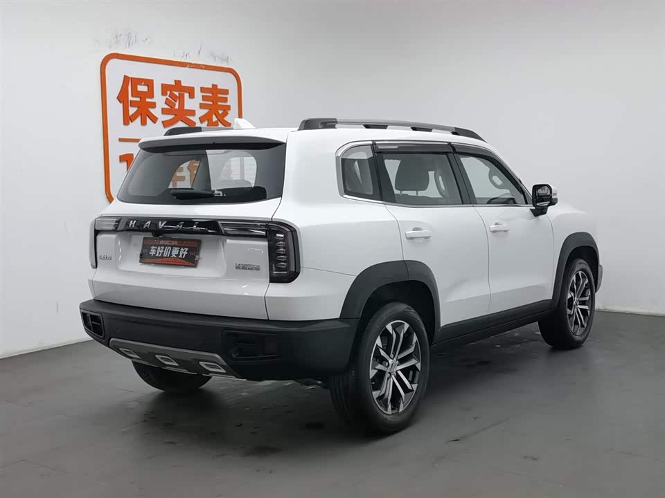 Haval Big dog