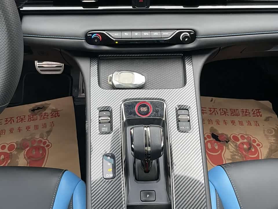 Trumpchi Shadow Leopard