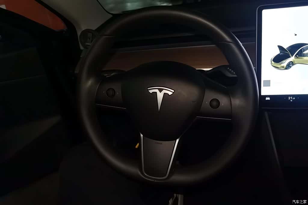 Tesla Model 3, 2020 15