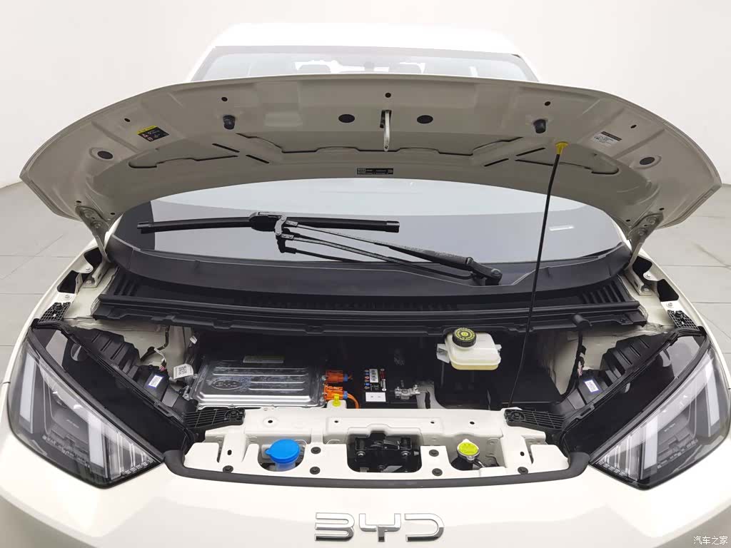 BYD Seagull, 2024 6