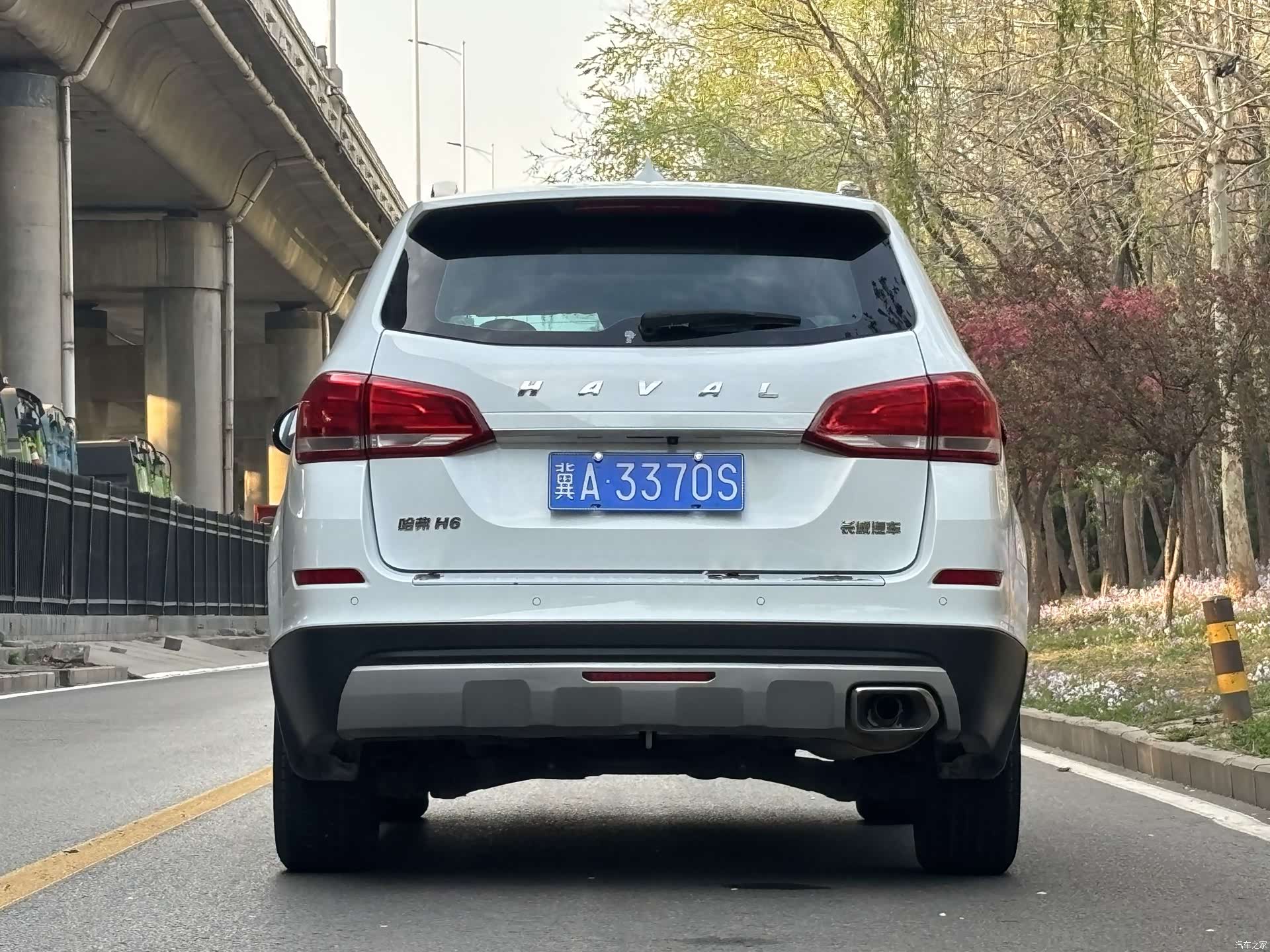 Haval H6, 2020 все фото