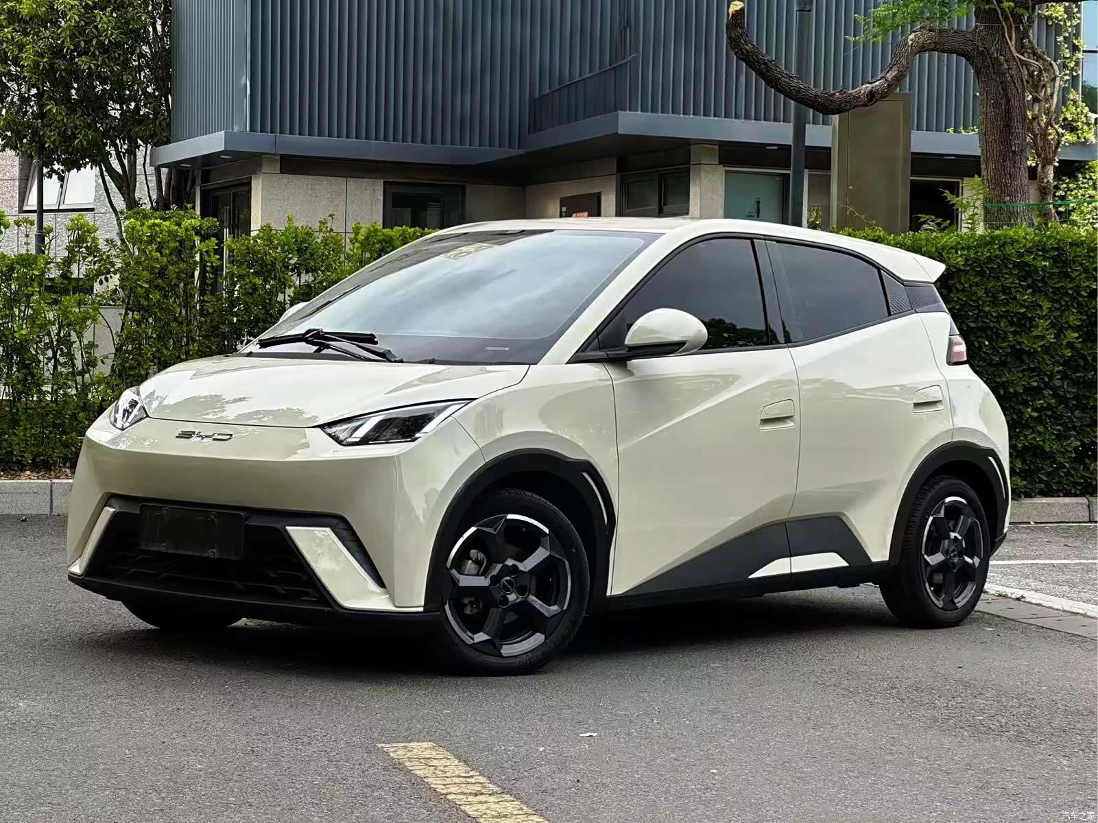 BYD Seagull, 2023 1