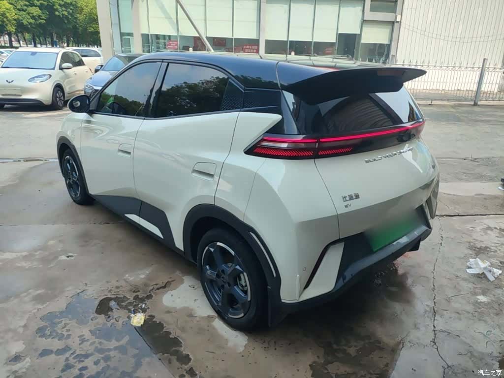 BYD Seagull, 2024 23