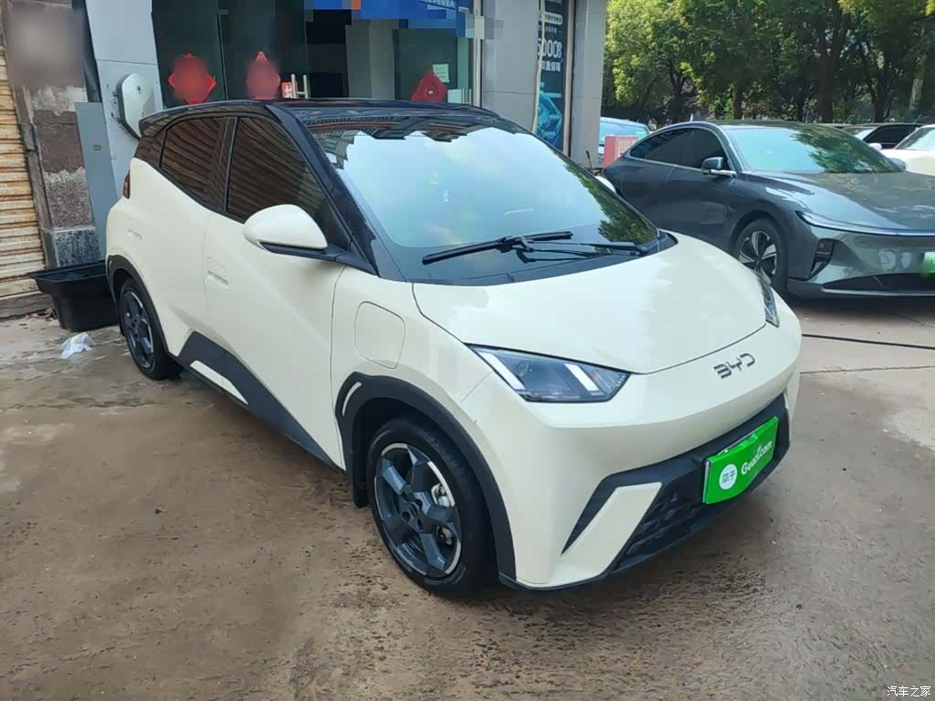 BYD Seagull, 2024 22