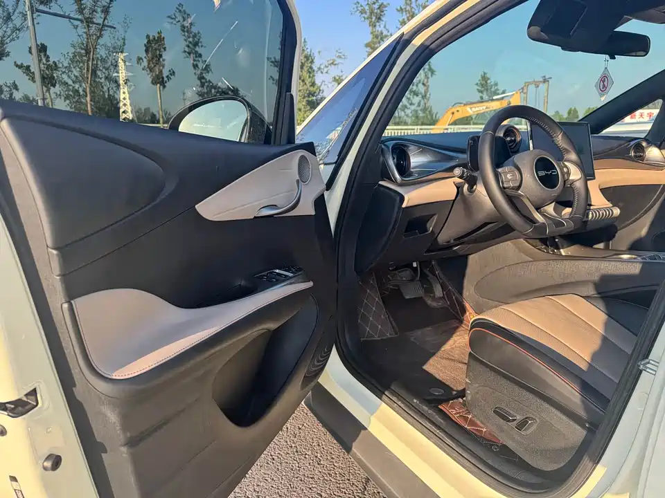 BYD dolphin BYD dolphin