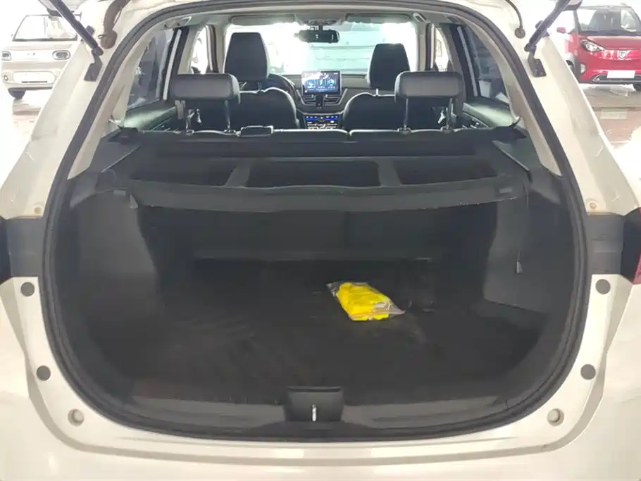 Venucia T60EV Venucia T60EV