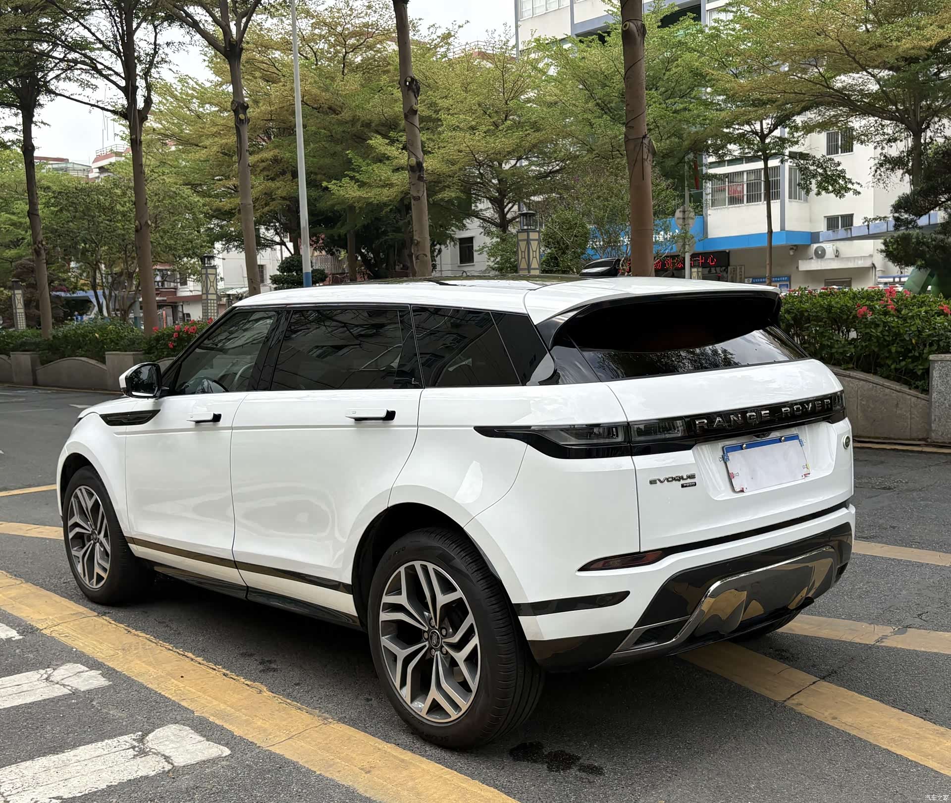 Land Rover Range Rover, 2024 все фото