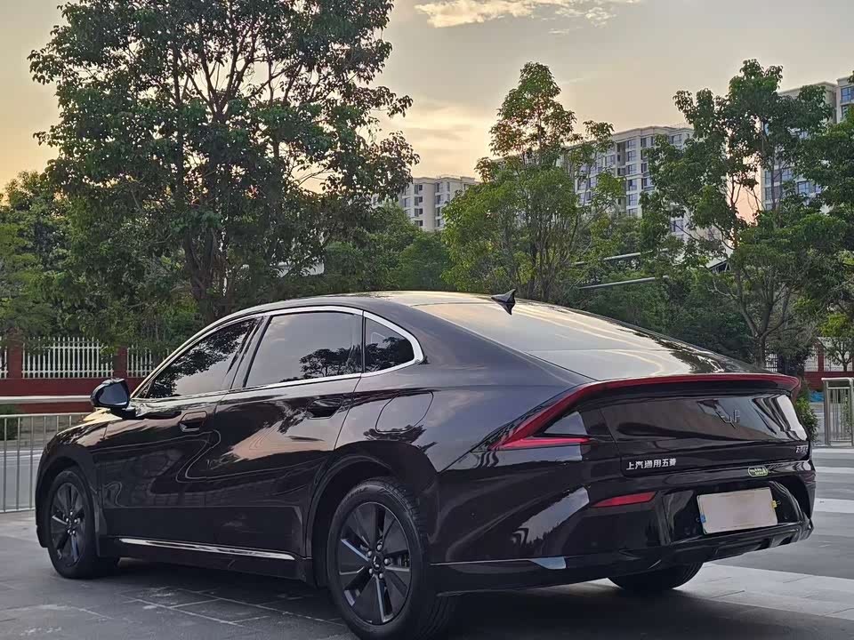 Wuling Wuling Starlight