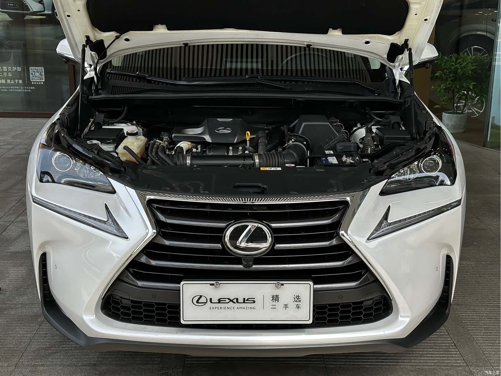 Lexus NX, 2017 11