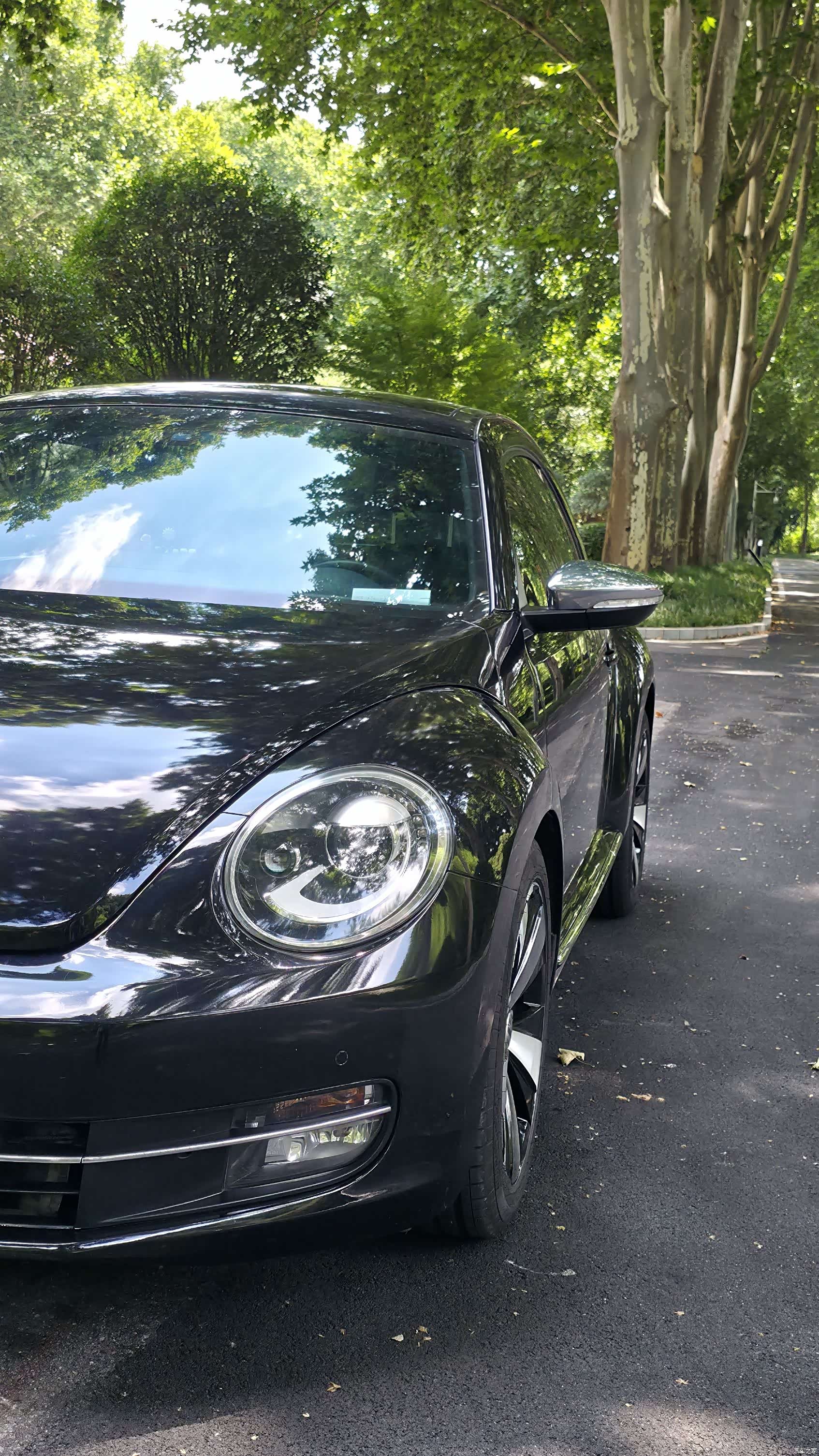 Volkswagen Fender, 2014 10