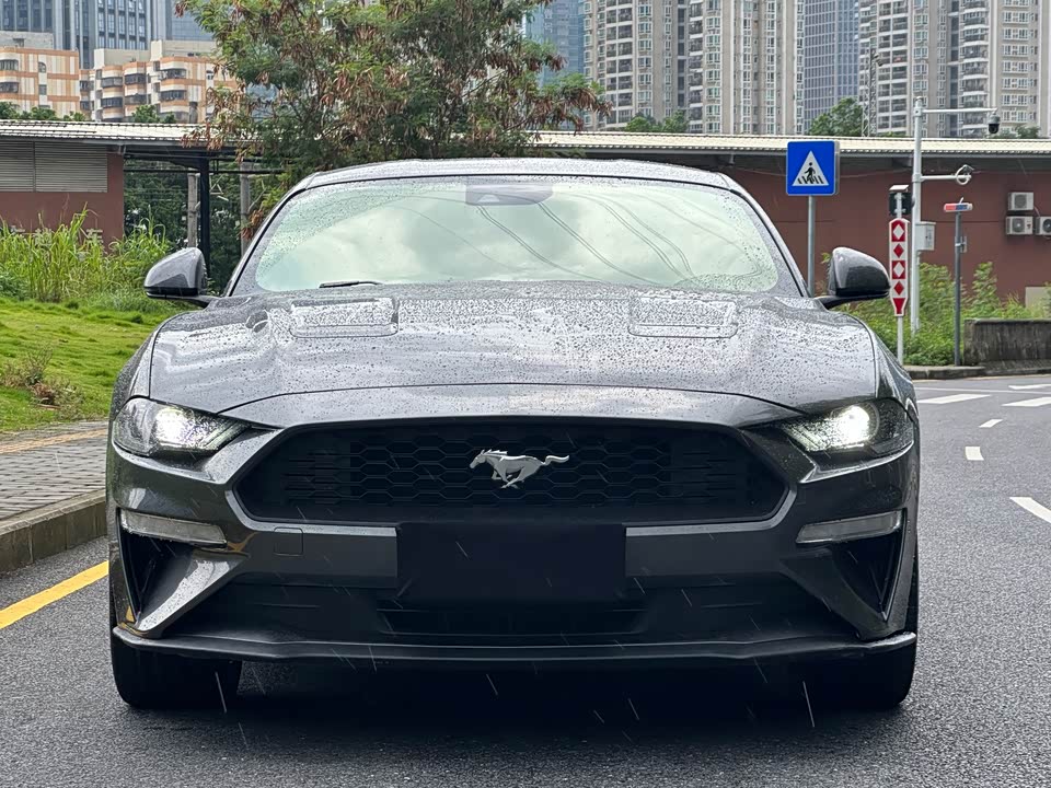 Ford Mustang Ford Mustang