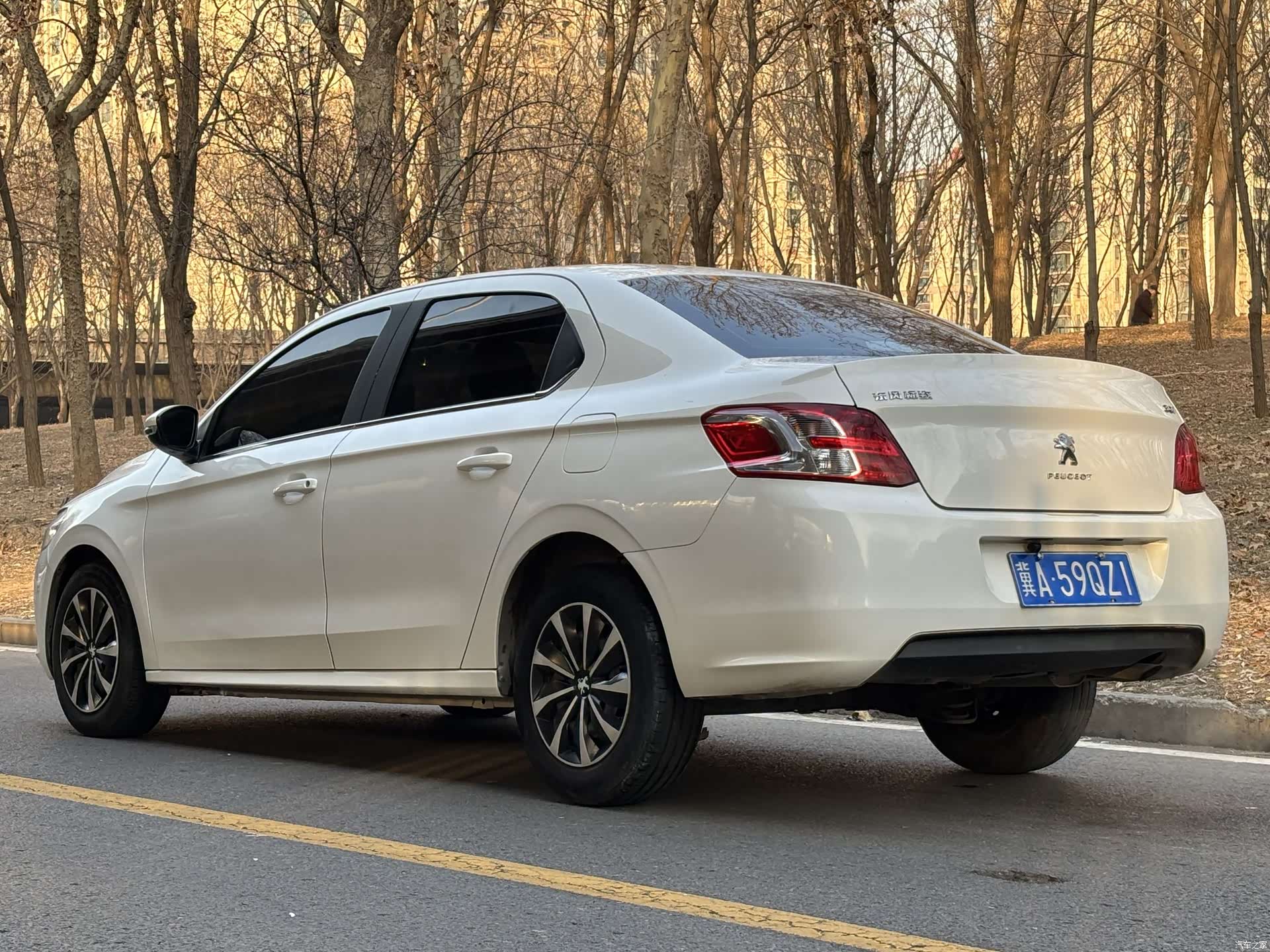 Peugeot 301, 2017 4