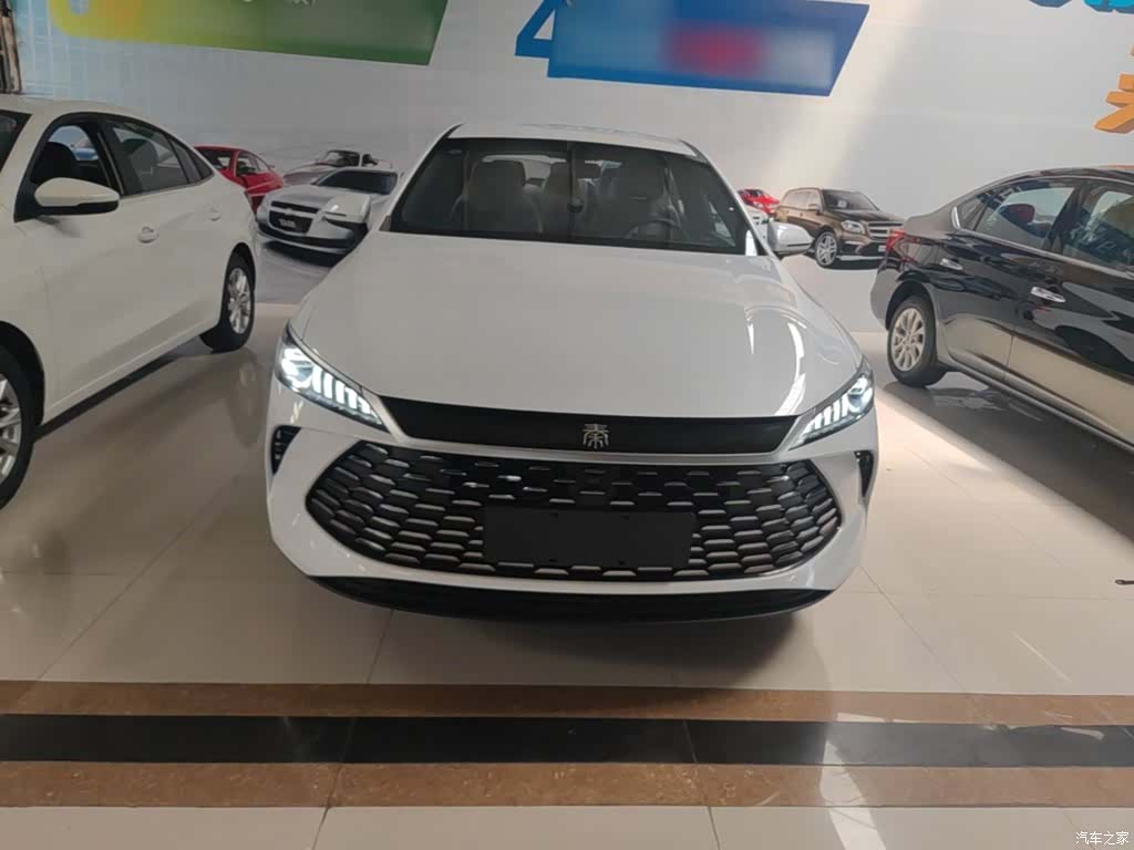 BYD Qin, 2026 3