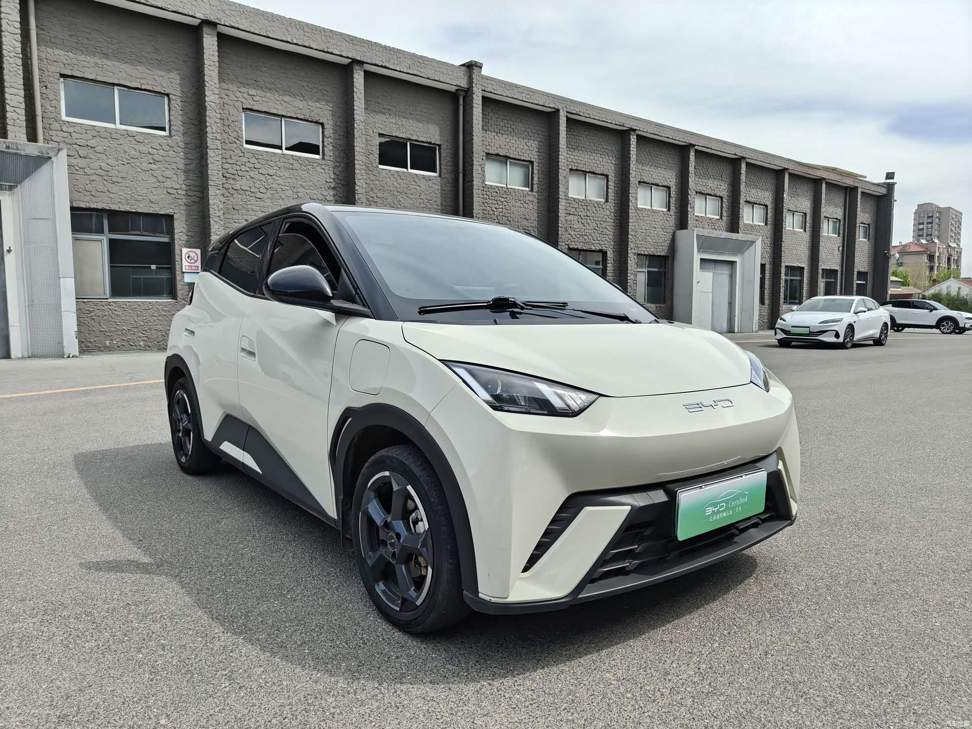 BYD Seagull, 2024 3