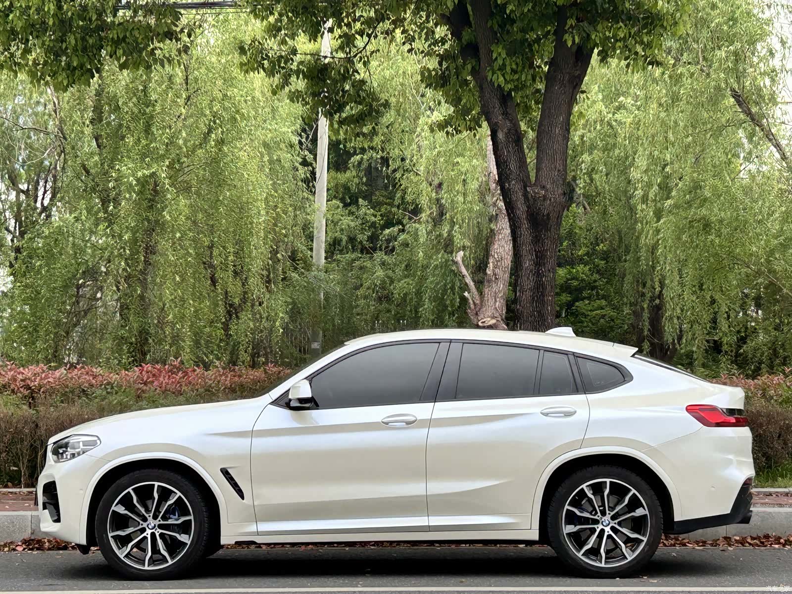 BMW X4, 2021 4