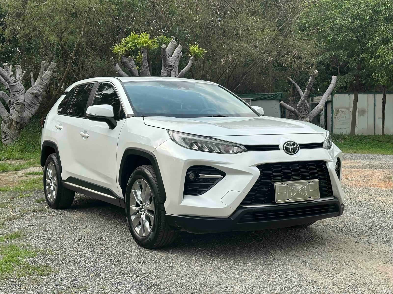 Toyota Wildlander, 2022 3