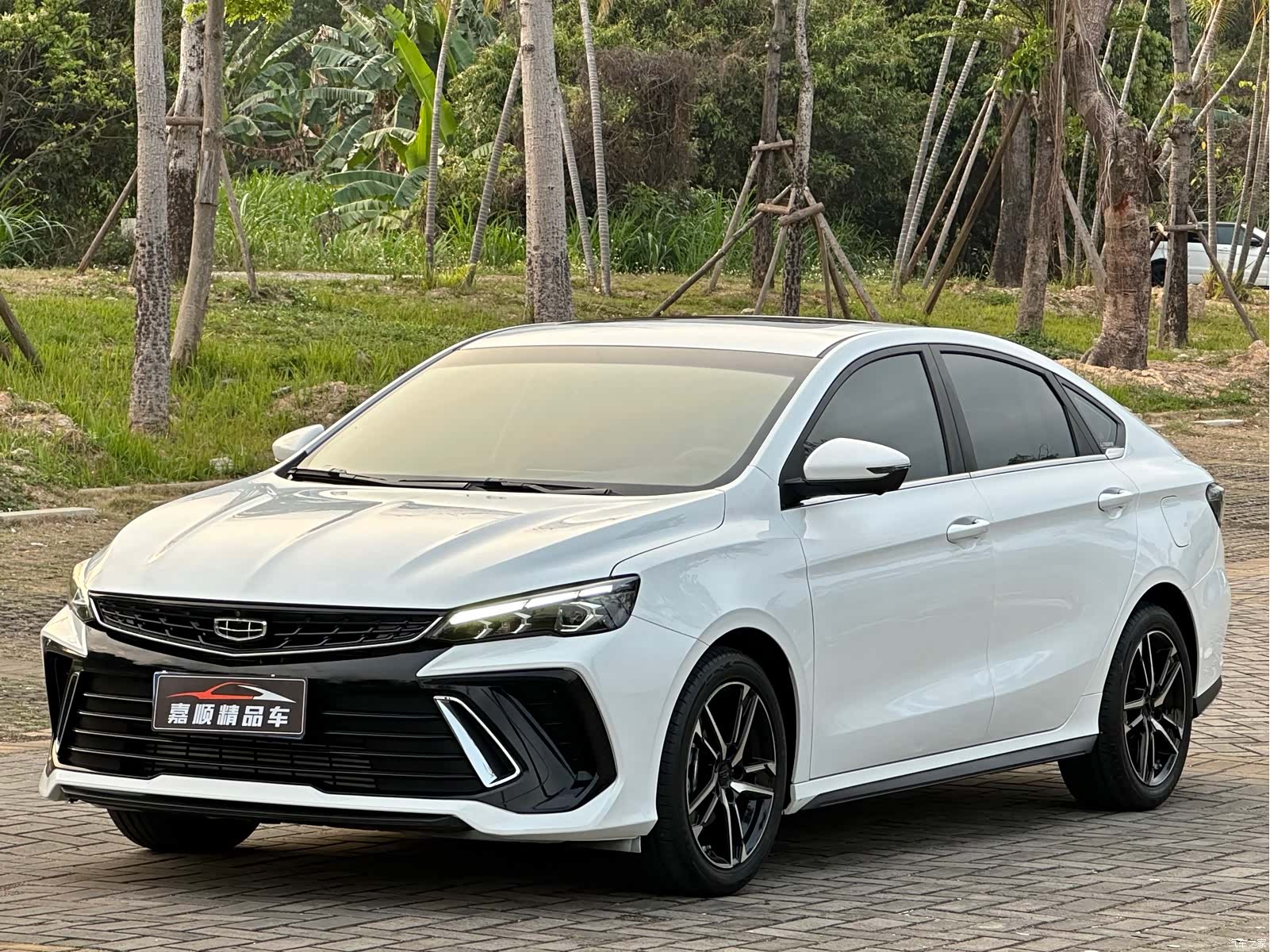 Geely Binray, 2023 1