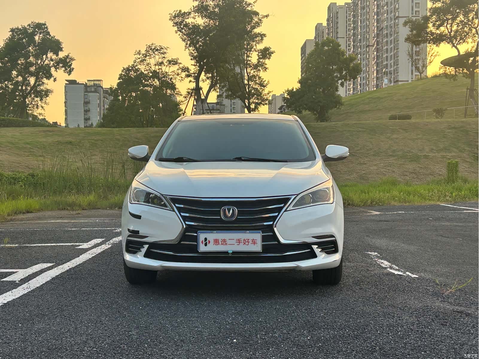 Changan Eado, 2019 2