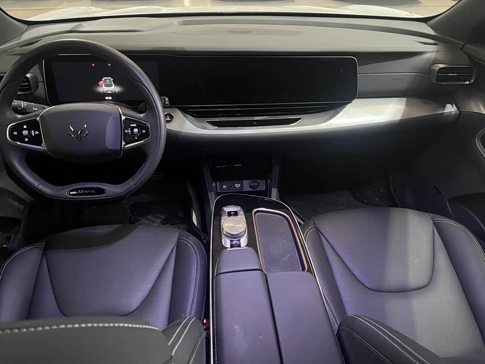 ARCFOX Polar Fox Alpha S