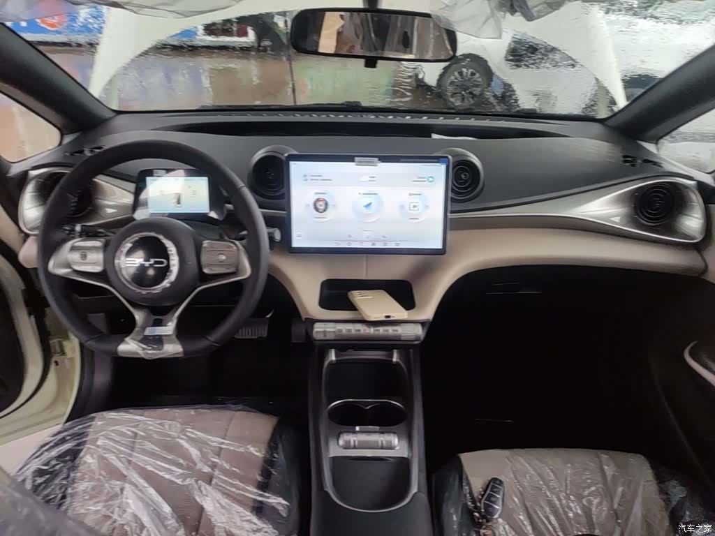 BYD Dolphin, 2026 10