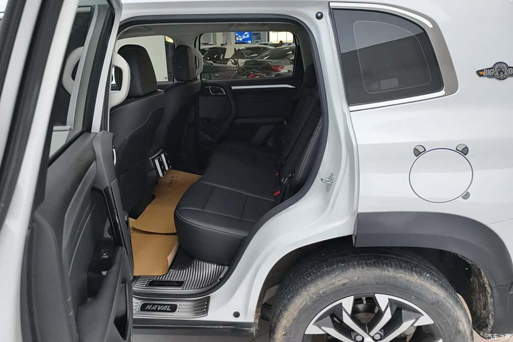 Haval Big Dog, 2023 11