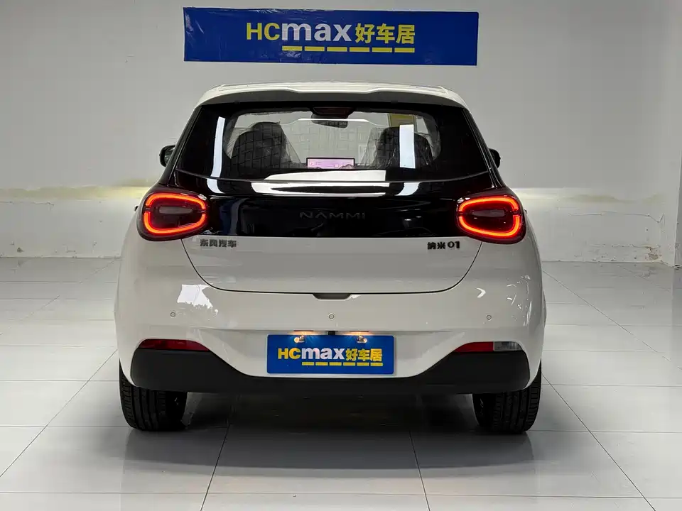 Dongfeng Nammi Nano 01