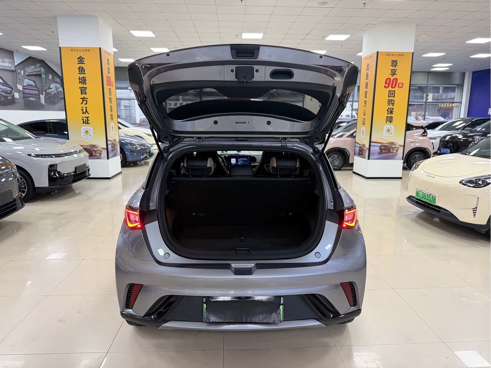 BYD Dolphin, 2024 10