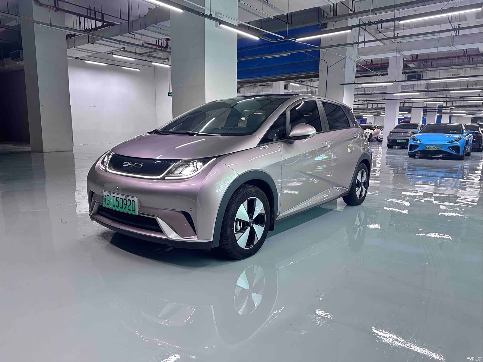 BYD Dolphin, 2023 1