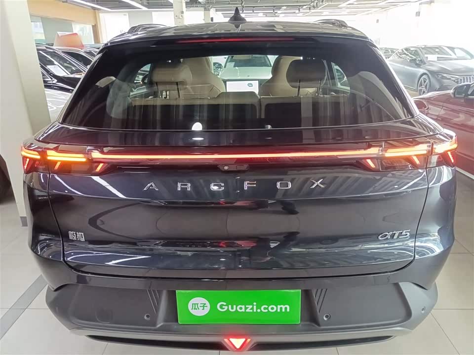 ARCFOX Polar Fox Alpha T5