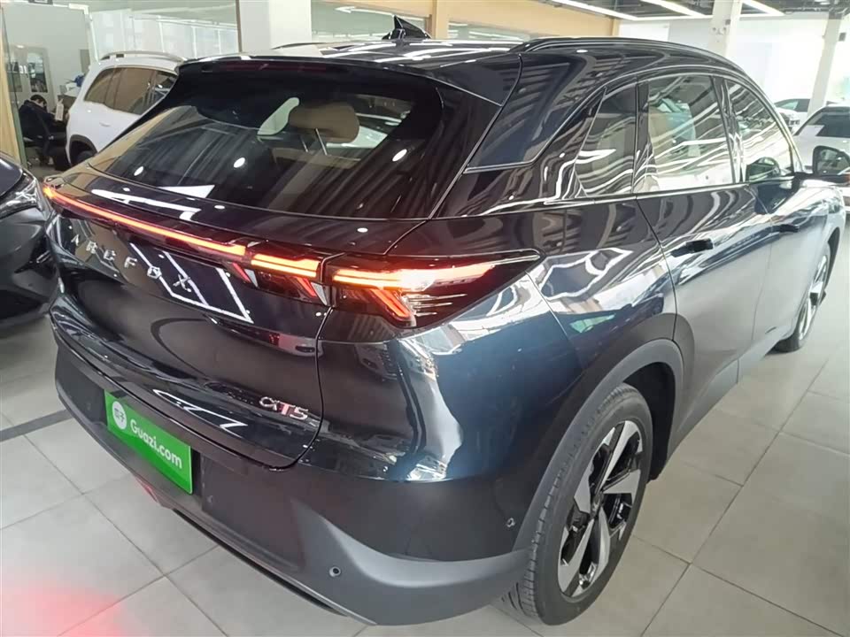 ARCFOX Polar Fox Alpha T5