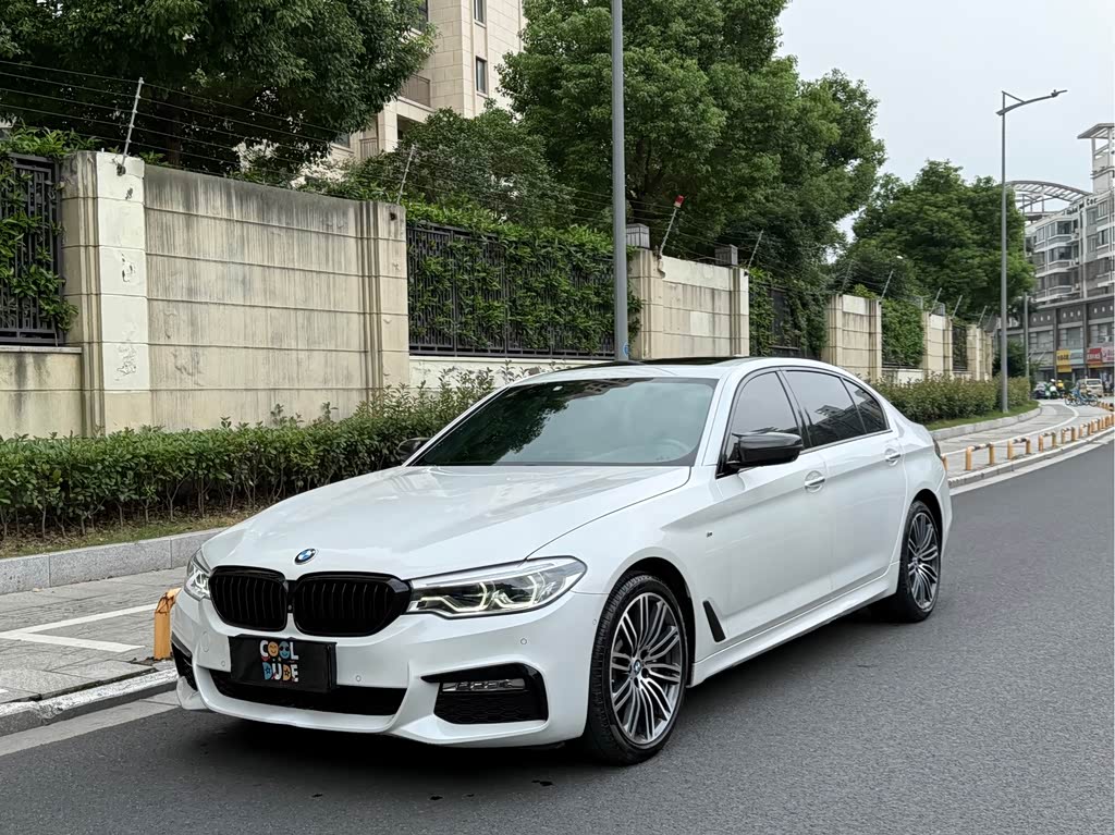 BMW 5 Series 5 2018 530Li Premium M Sport
