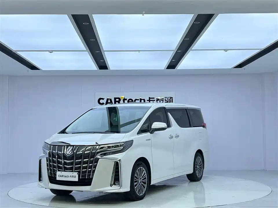 Toyota Elfa