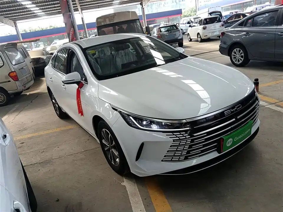 BYD Destroyer 05