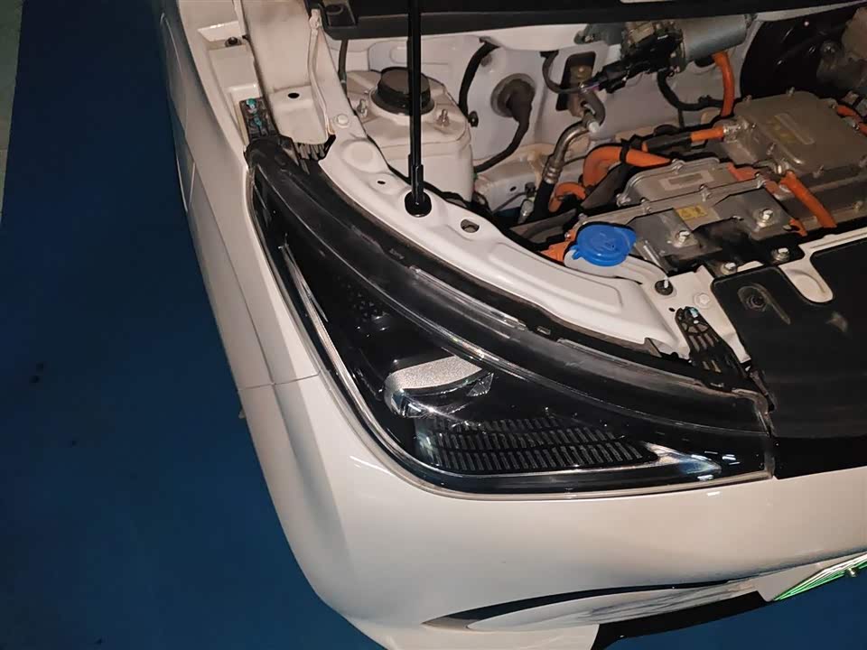 Cowin Picking up the moon