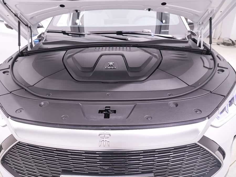 BYD Song PLUS New Energy 2022, фото 21