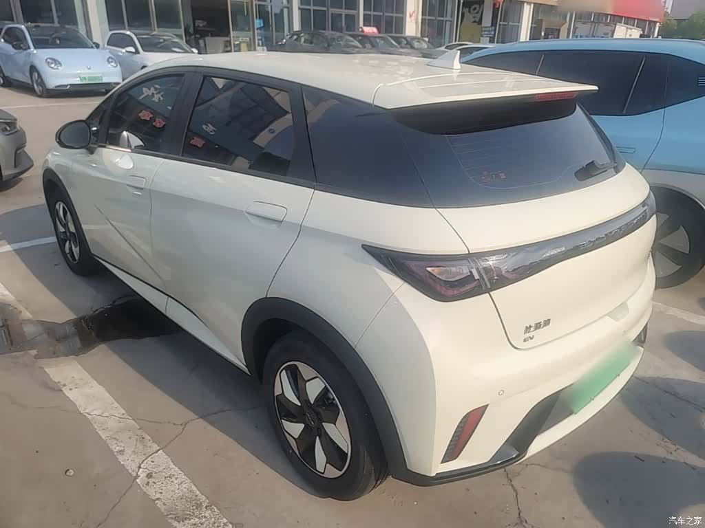 BYD Dolphin, 2024 23