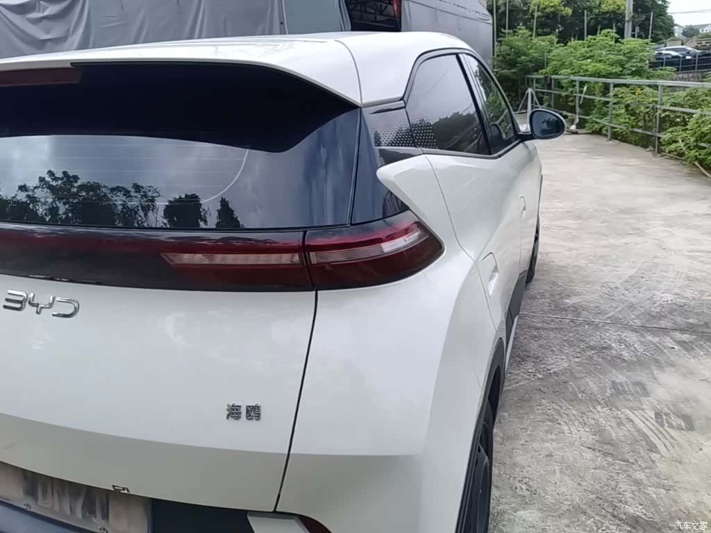 BYD Seagull, 2024 8