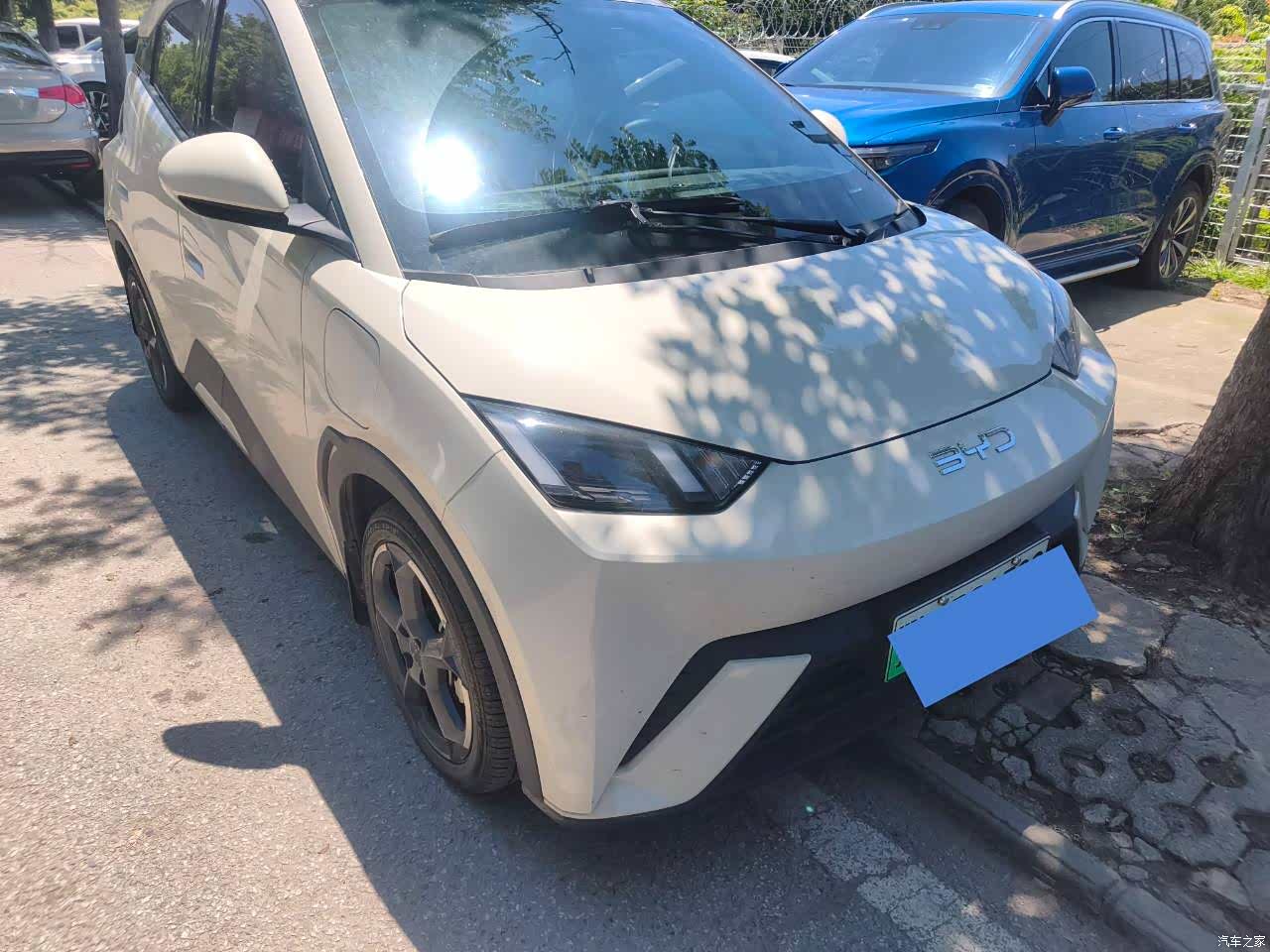 BYD Seagull, 2024 1
