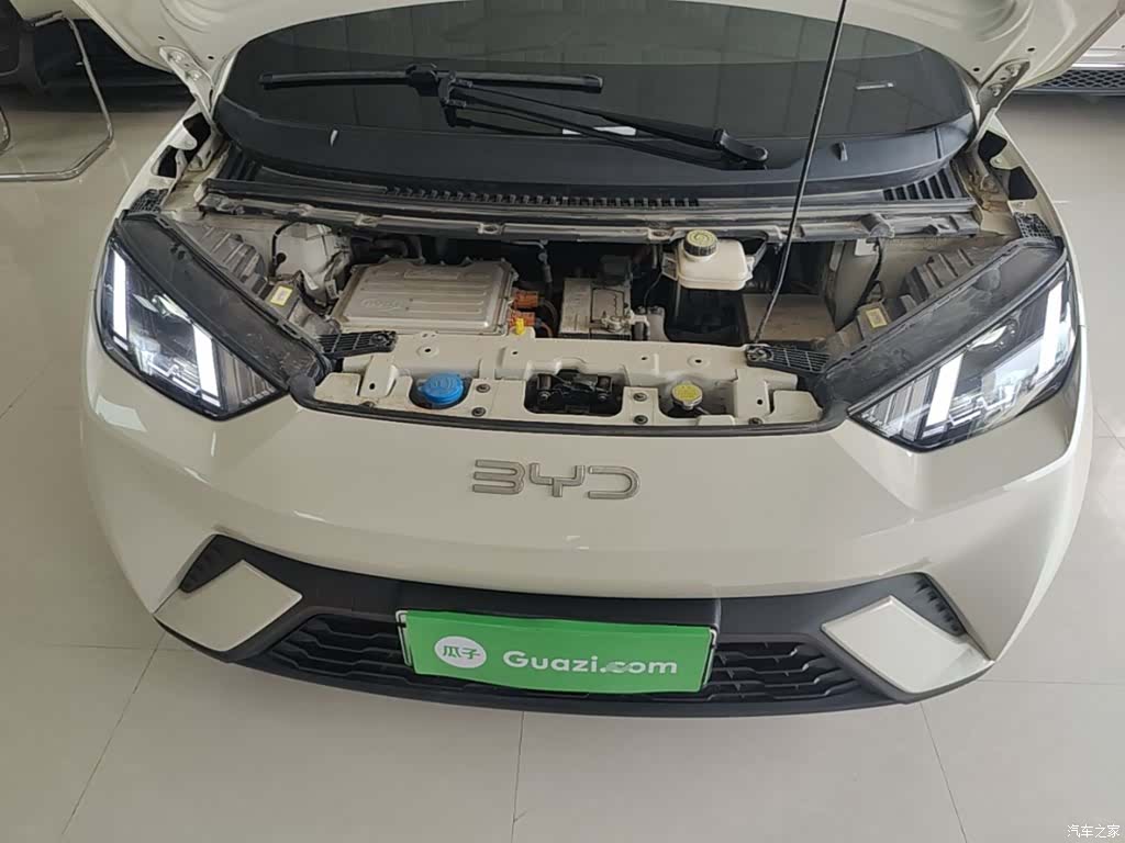 BYD Seagull, 2024 20