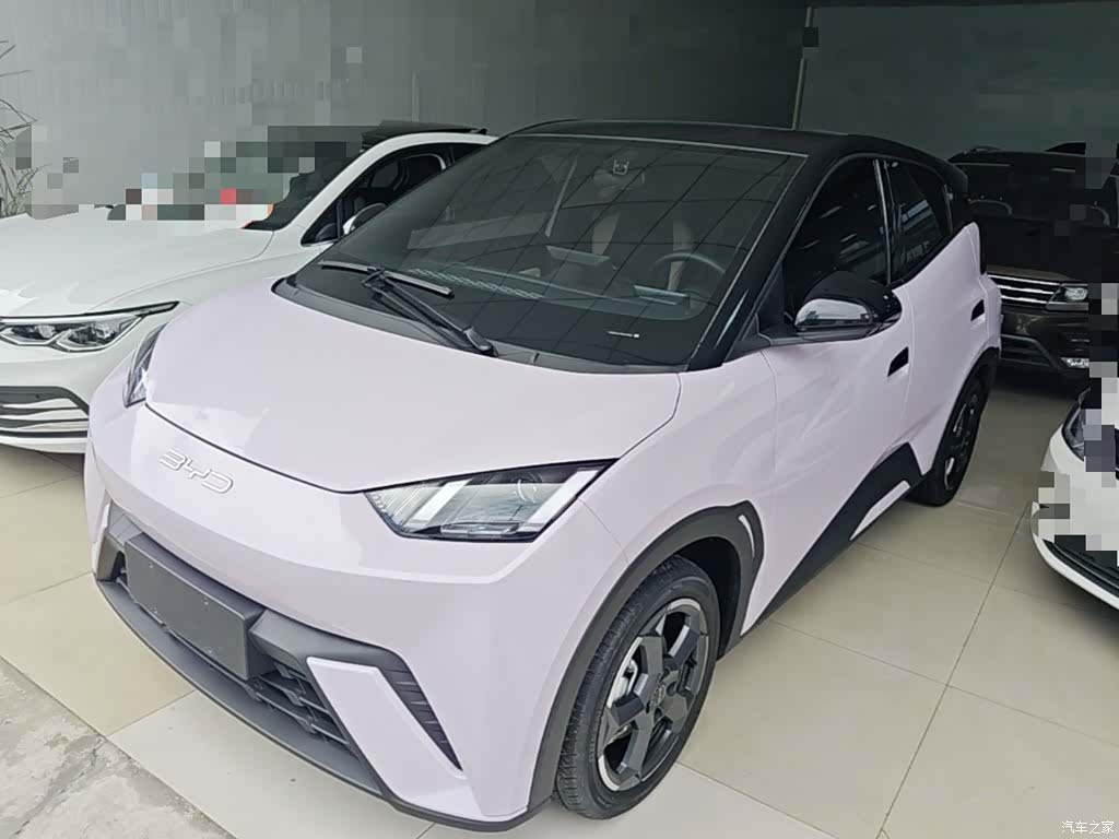 BYD Seagull, 2023 1