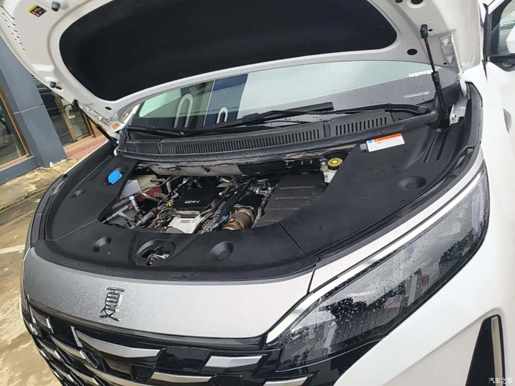 BYD Xia, 2025 20