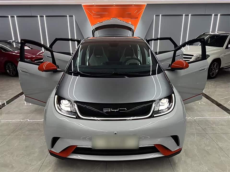 BYD dolphin