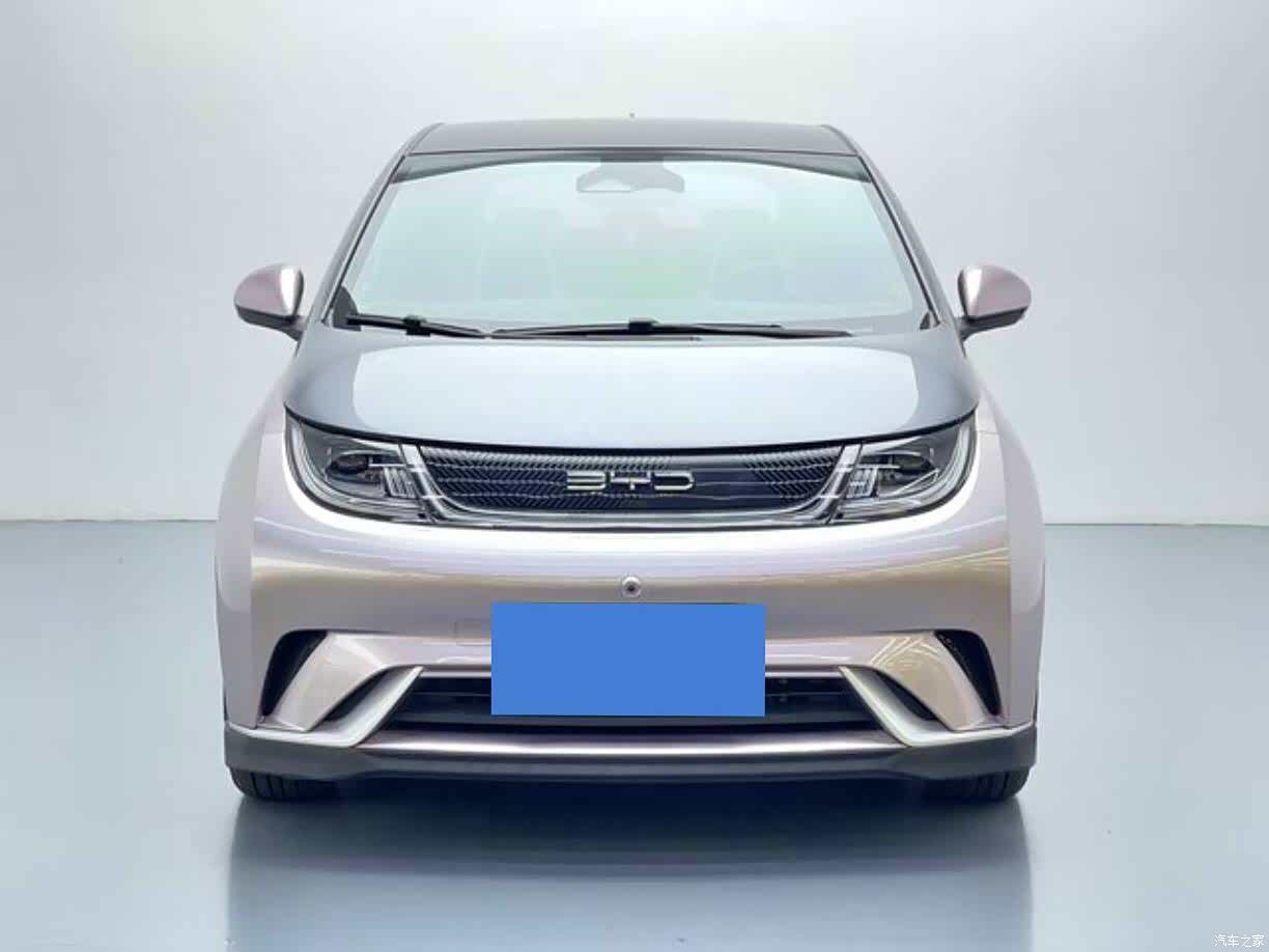 BYD Dolphin, 2022 2